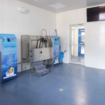 Zak's Building Group PA Wand Wash Dog Bath